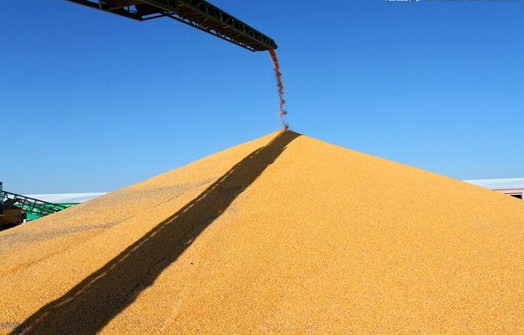 糧食儲備庫水浸漏水報(bào)警系統(tǒng)